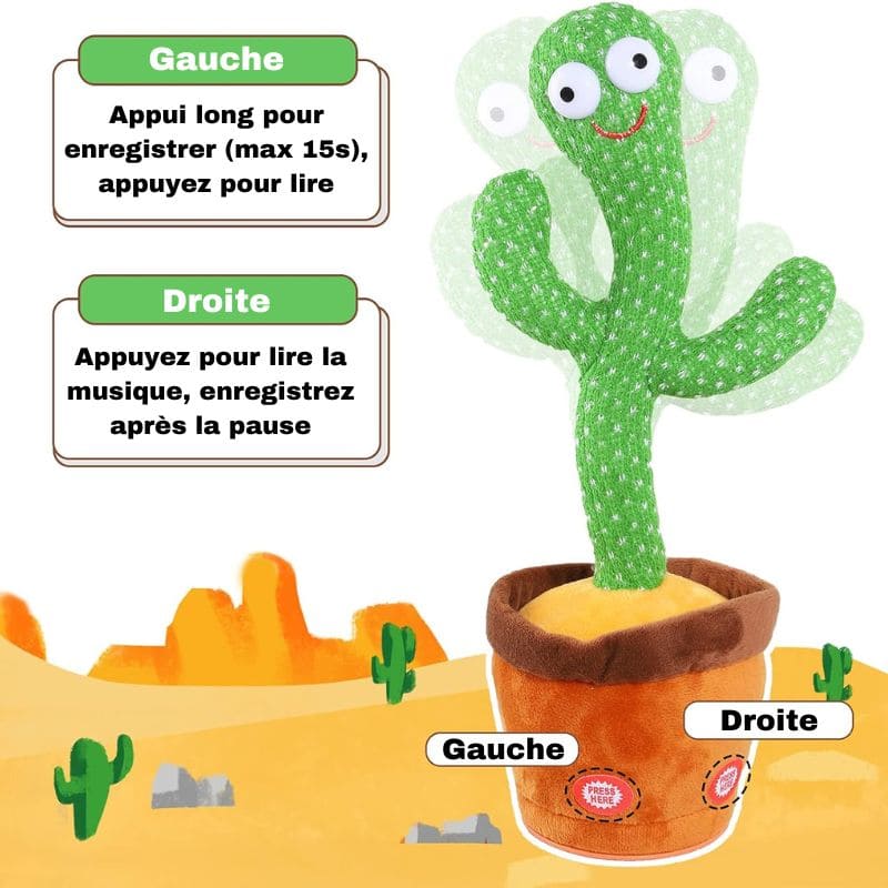 Jouet d'Éveil Bébé - Cactus qui Danse | SweetCactus